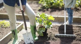 giardino che vorrei corso milano 14 maggio