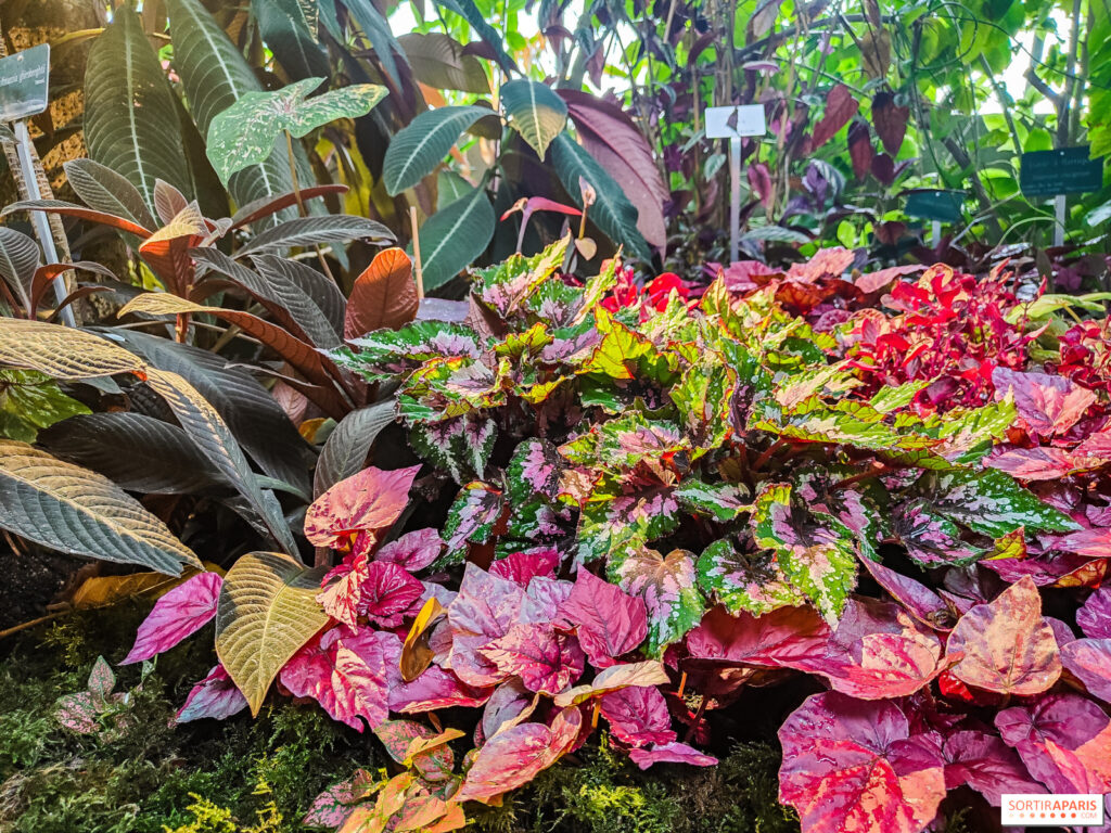 autunno tropicale