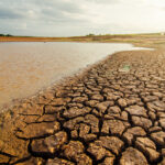 crisi del clima