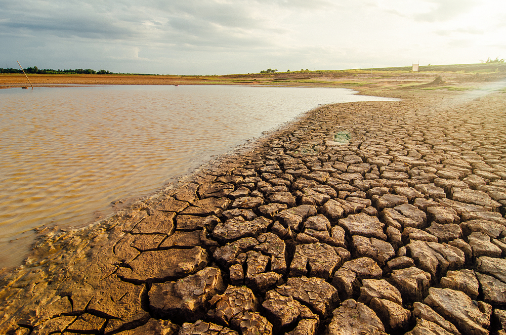 crisi del clima